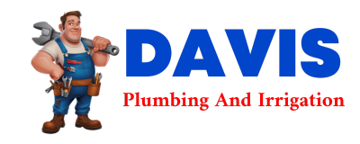 Trusted plumber in ANNA